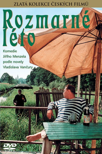 Постер фильма «Капризное лето»