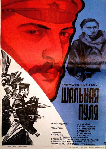 Постер фильма «Шальная пуля»