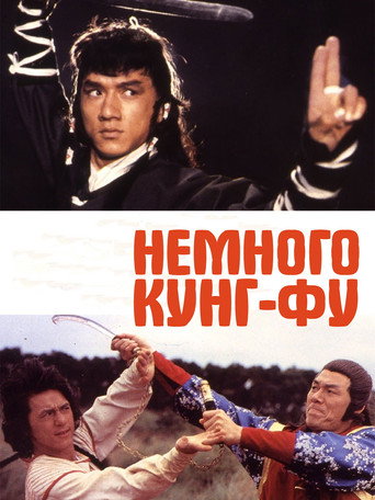 Постер фильма «Немного кунг-фу»