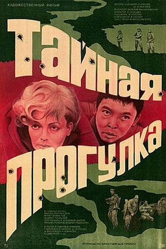 Постер фильма «Тайная прогулка»
