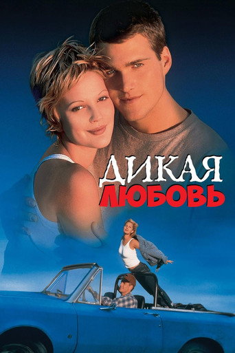 Постер фильма «Безумная любовь»