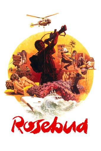 Постер фильма «Розовый бутон»
