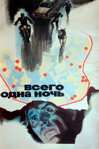 Постер фильма «Всего одна ночь»