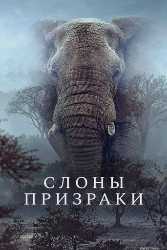 Постер фильма «Слоны-призраки»