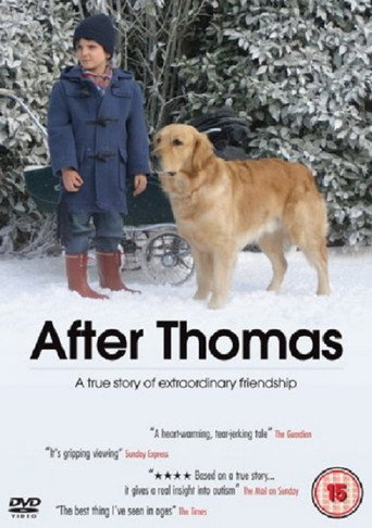 Постер фильма «После Томаса»