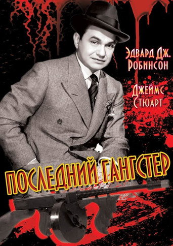 Постер фильма «Последний гангстер»
