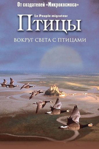 Постер фильма «Птицы»