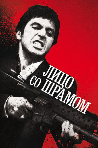 Постер фильма «Лицо со шрамом»