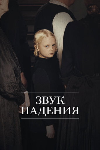 Постер фильма «Звук падения»
