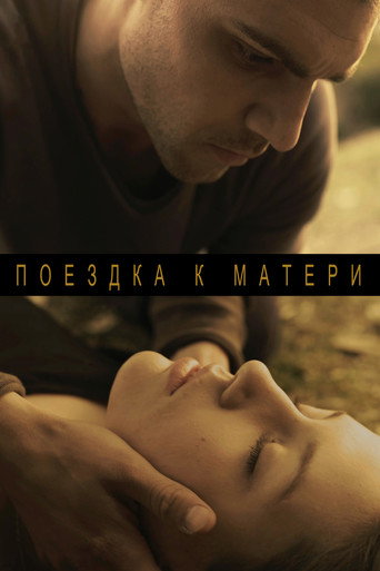 Постер фильма «Поездка к матери»
