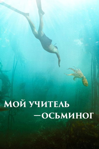 Постер фильма «Мой учитель осьминог»