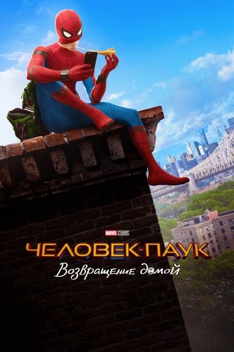 Постер фильма «Человек-паук: Возвращение домой»