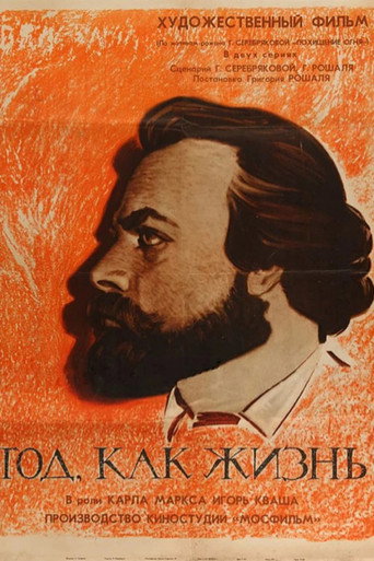 Постер фильма «Год как жизнь»