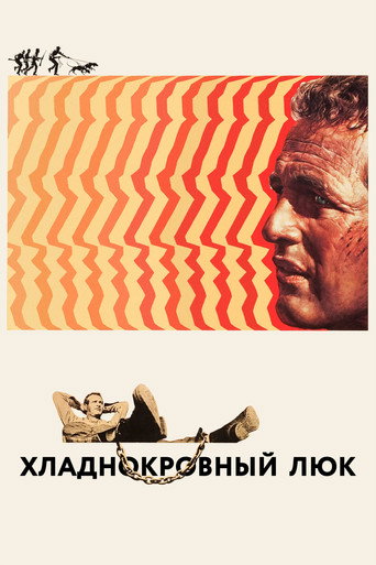 Постер фильма «Хладнокровный Люк»