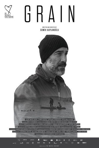 Постер фильма «Зерно»