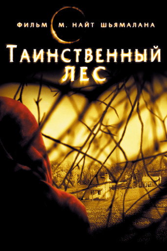 Постер фильма «Таинственный лес»