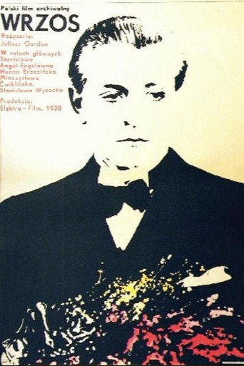 Постер фильма «Вереск»
