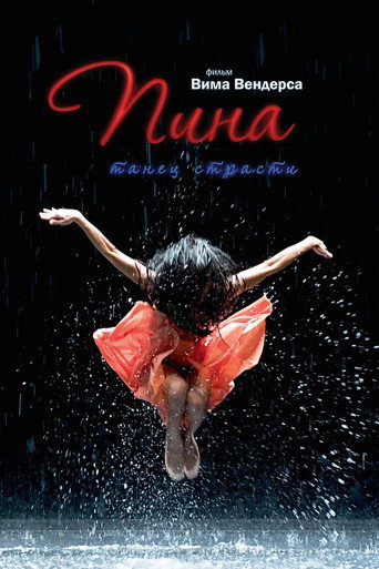 Постер фильма «Пина»
