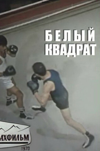 Постер фильма «Белый квадрат»