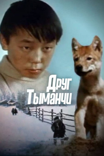 Постер фильма «Друг Тыманчи»