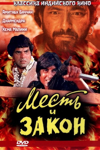 Постер фильма «Месть и закон»
