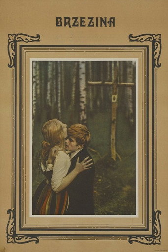Постер фильма «Березняк»