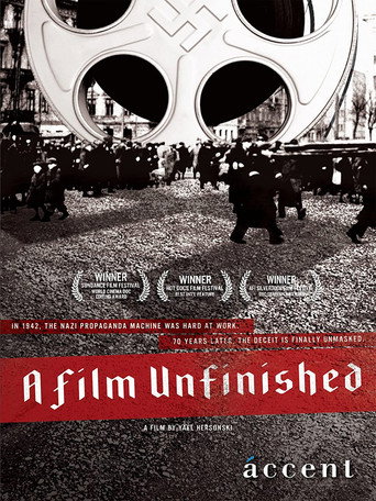 Постер фильма «Неоконченный фильм»