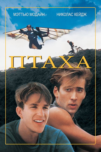 Постер фильма «Птаха»