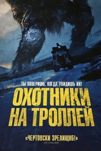 Постер фильма «Охотники на троллей»