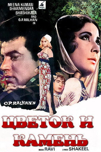 Постер фильма «Цветок и камень»