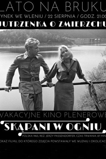 Постер фильма «Крещённые огнём»