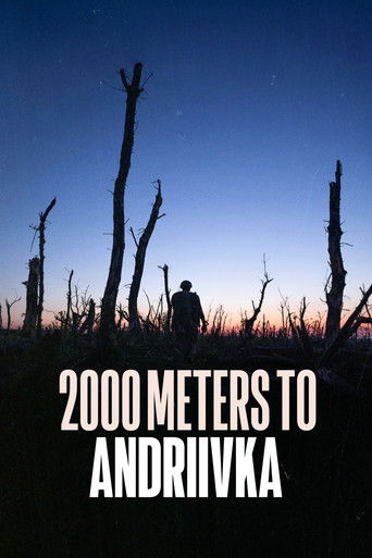 Постер фильма «2000 метров до Андреевки»