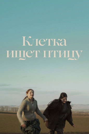 Постер фильма «Клетка ищет птицу»