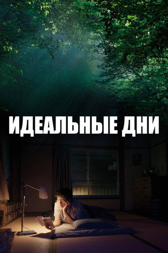 Постер фильма «Идеальные дни»
