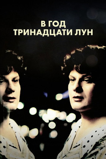 Постер фильма «В год тринадцати лун»