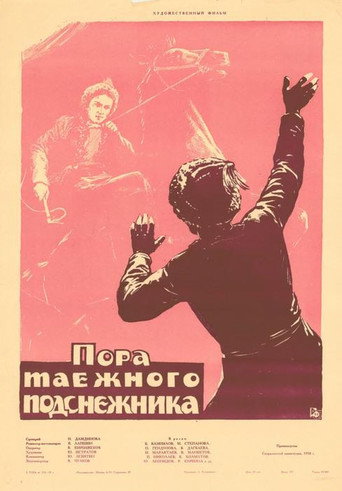 Постер фильма «Пора таёжного подснежника»