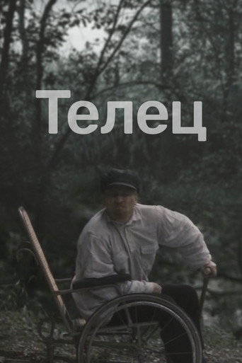 Постер фильма «Телец»