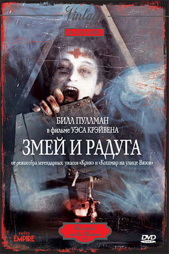 Постер фильма «Змей и радуга»