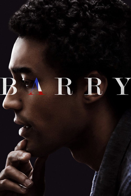 Постер фильма «Барри»