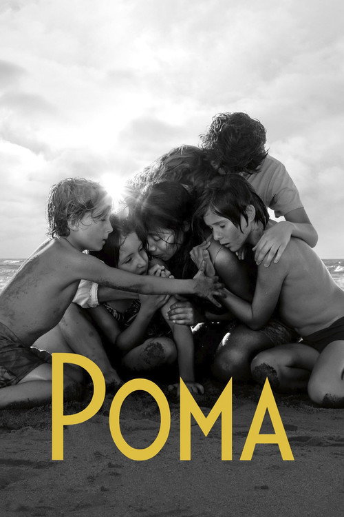 Постер фильма «Рома»