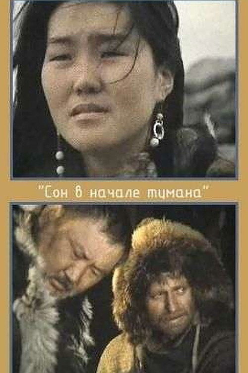 Постер фильма «Сон в начале тумана»