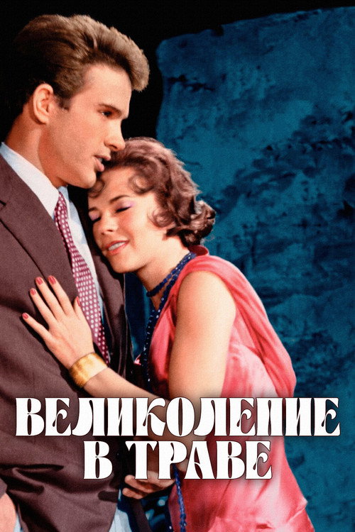 Постер фильма «Великолепие в траве»