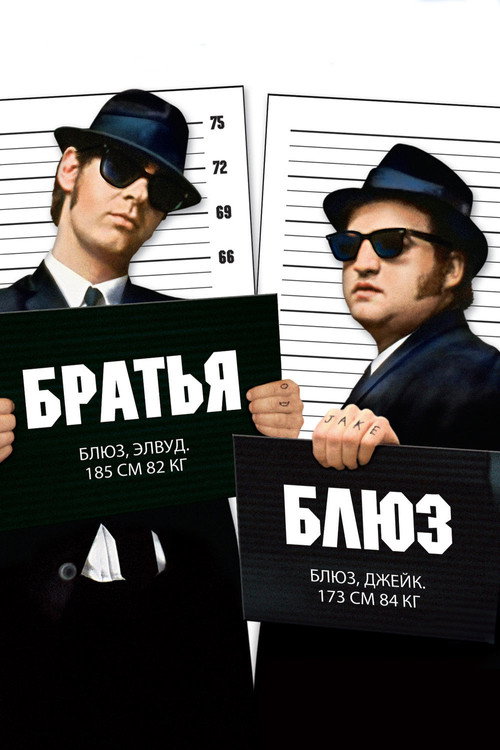 Постер фильма «Братья Блюз»