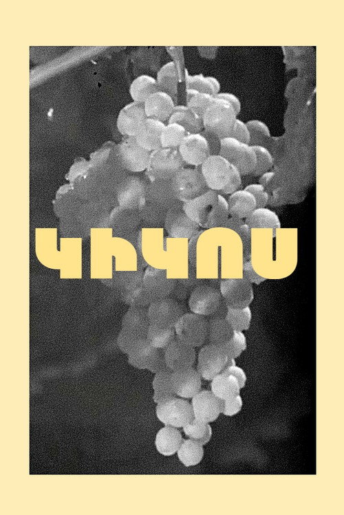 Постер фильма «Кикос»