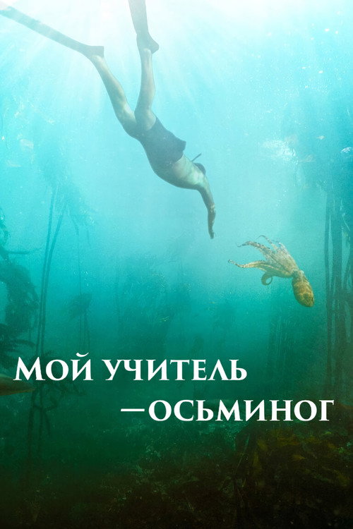 Постер фильма «Мой учитель осьминог»