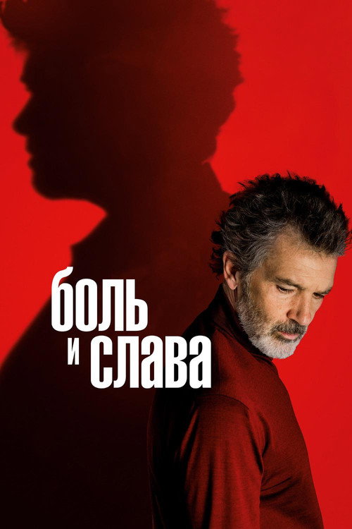 Постер фильма «Боль и слава»
