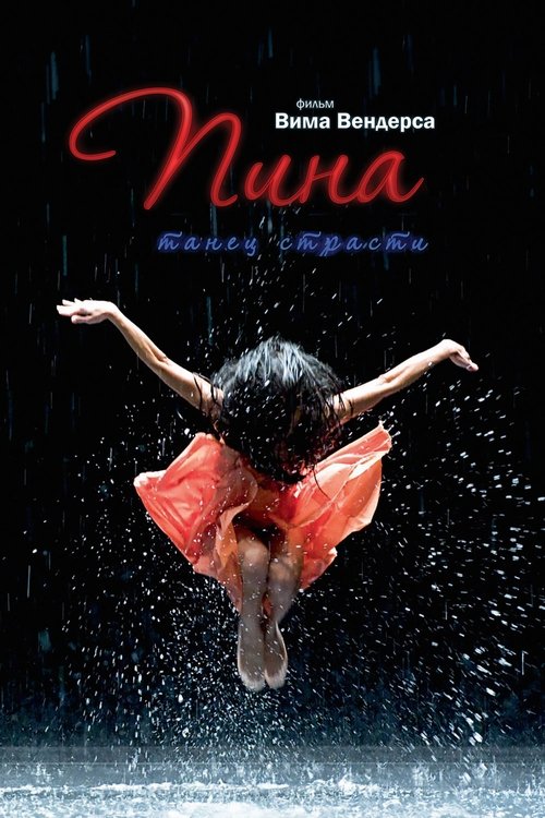 Постер фильма «Пина»