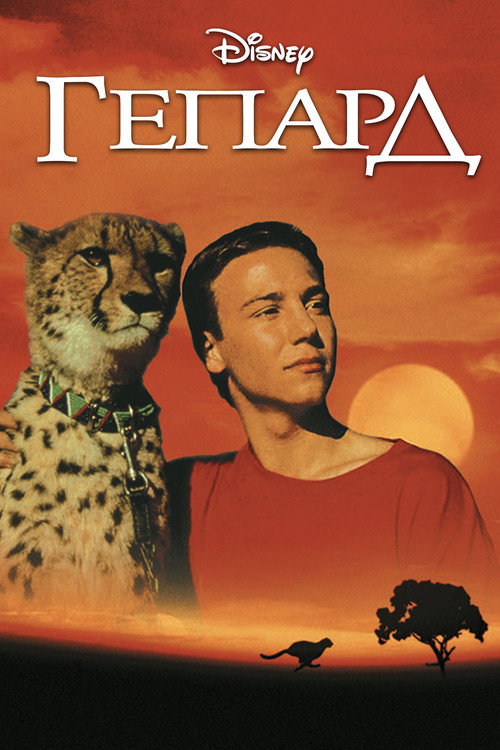 Постер фильма «Гепард»