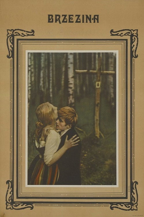 Постер фильма «Березняк»