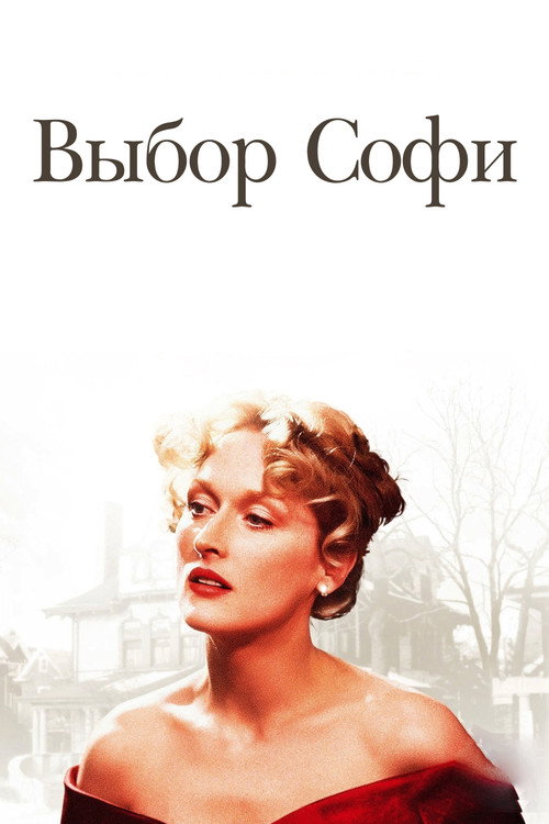Постер фильма «Выбор Софи»